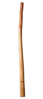 Tristan O'Meara Didgeridoo (TM353)